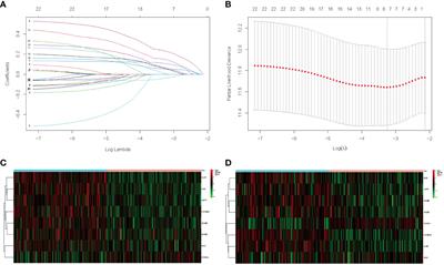 A prognostic signature of cuproptosis and TCA-related genes for hepatocellular carcinoma